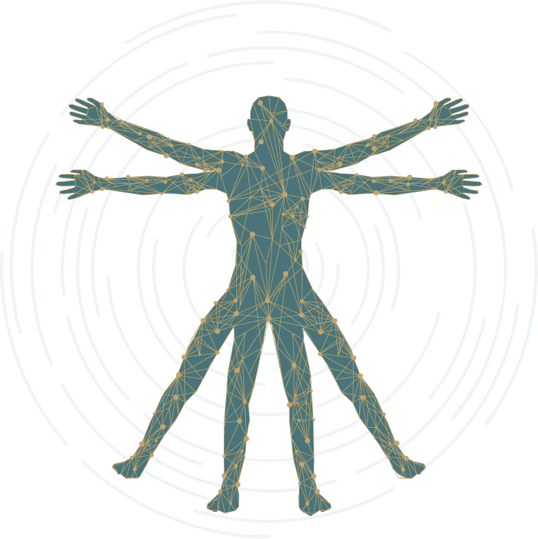 Illustration of a figure in the Vitruvian pose, drawn as a network of connected lines and points in teal and gold