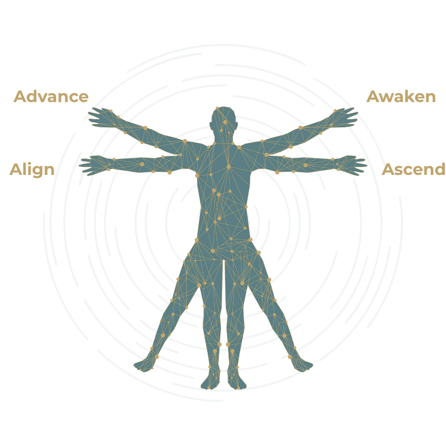 Align (3)