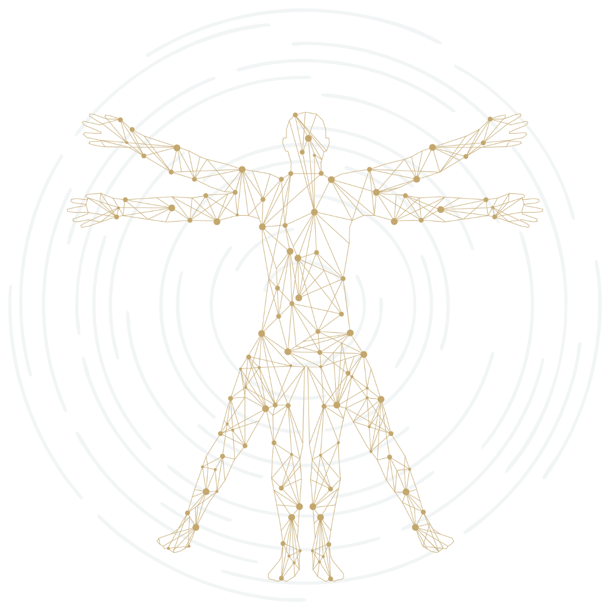 Levitas Partnerships graphic